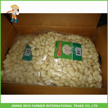 Natural de alta calidad chino ajo pelado fresco en 5LBS bolsa para la exportación